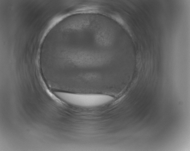 X0000081331421200701181942