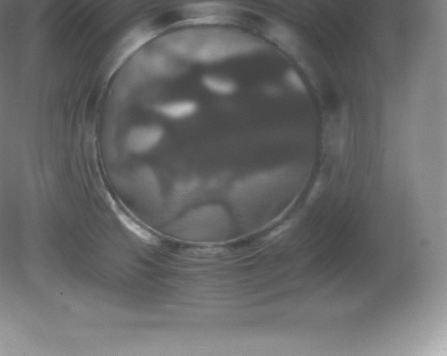 X0000081331425200701181942