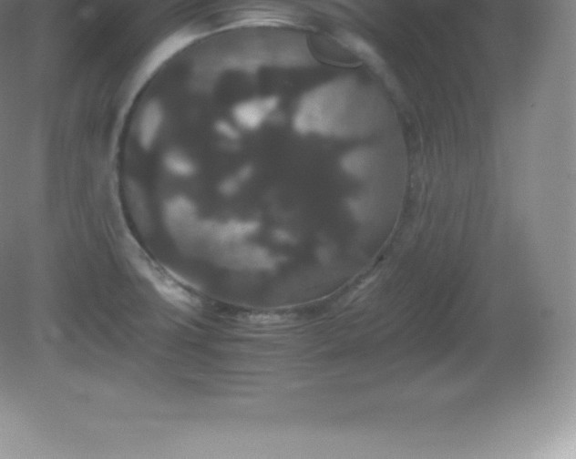 X0000081331427200701181943