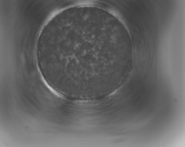 X0000081331429200701181943