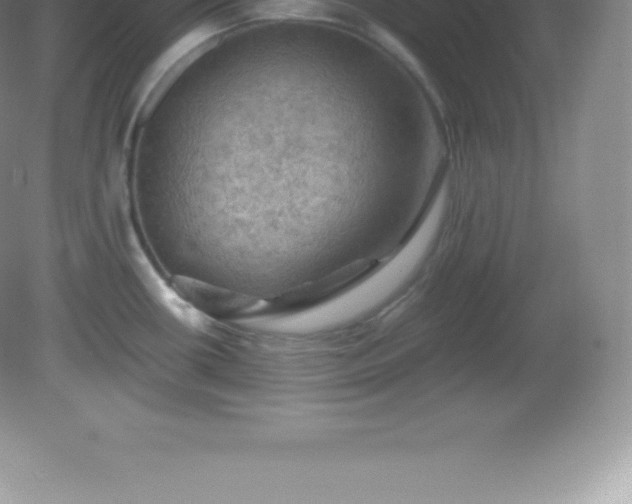 X0000081331434200701181943