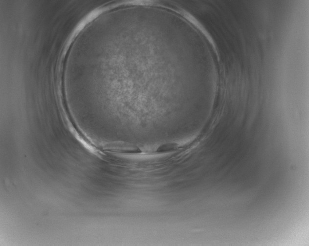 X0000081331437200701181943