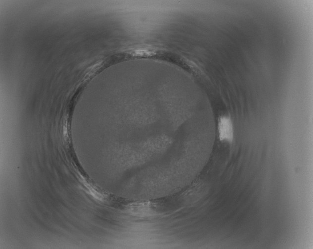 X0000081331444200701181942
