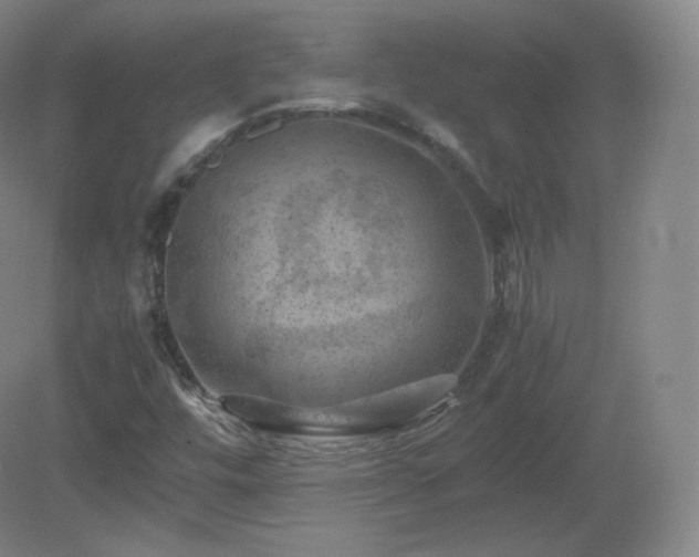 X0000081331448200701181942