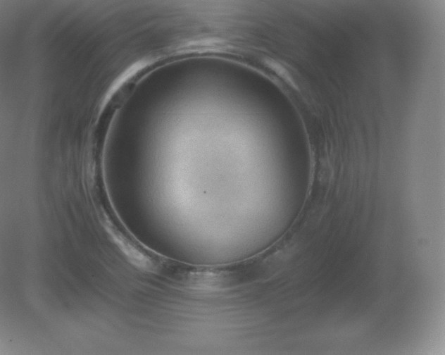 X0000081331458200701181942