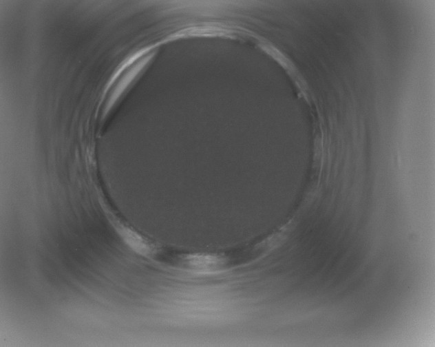 X0000081331465200701181942