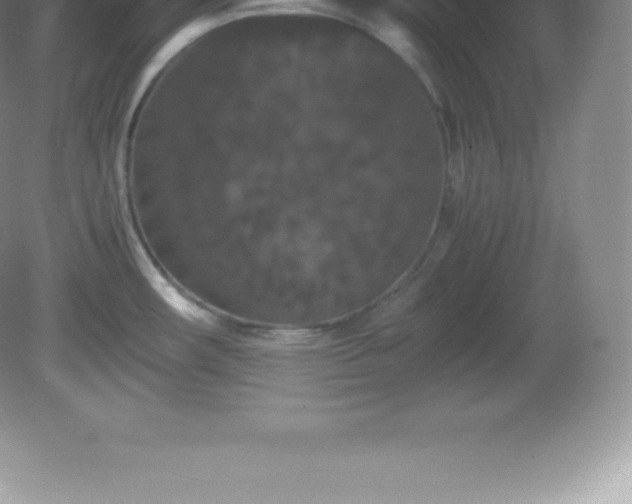 X0000081331482200701181941