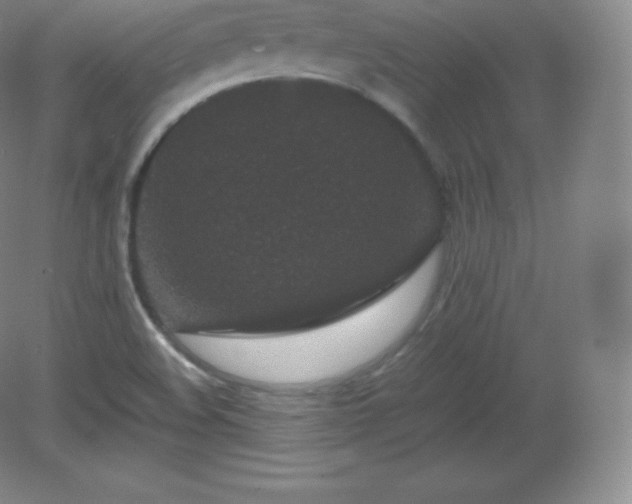 X0000081331508200701181941