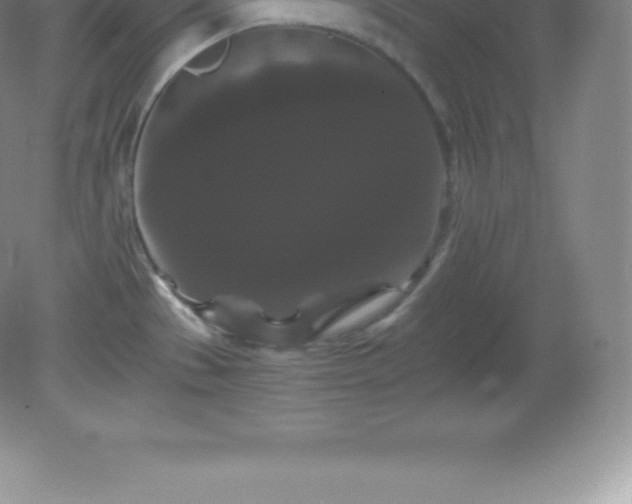 X0000081331529200701181941