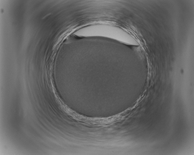 X0000081330001200701251845
