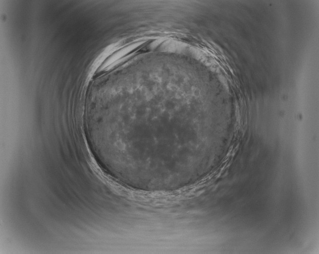X0000081330003200701251845