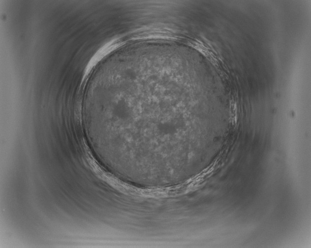 X0000081330004200701251845