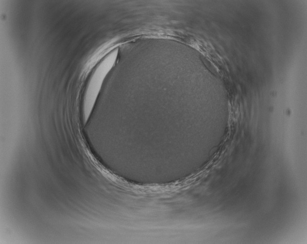 X0000081330005200701251845
