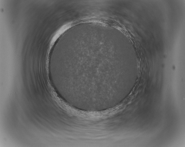 X0000081330006200701251845