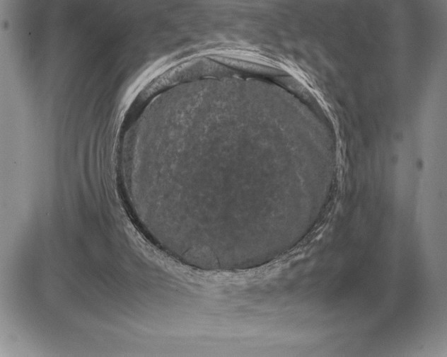 X0000081330007200701251845