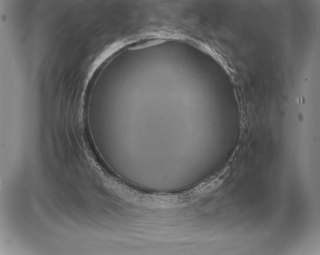 X0000081330008200701251845