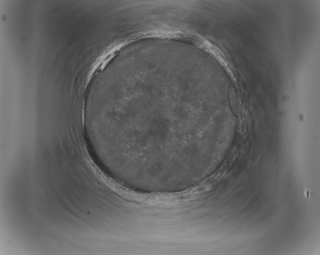 X0000081330011200701251845