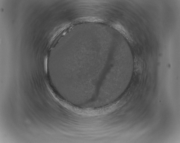 X0000081330014200701251845