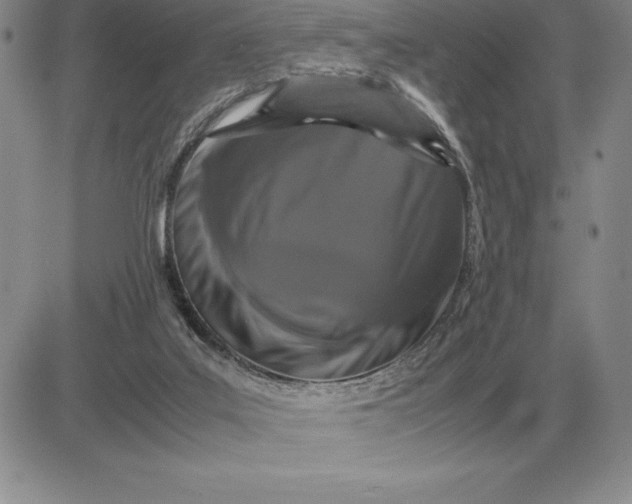 X0000081330019200701251844