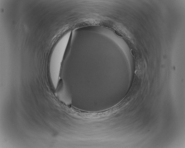 X0000081330023200701251844