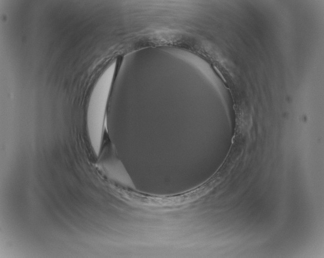 X0000081330027200701251844