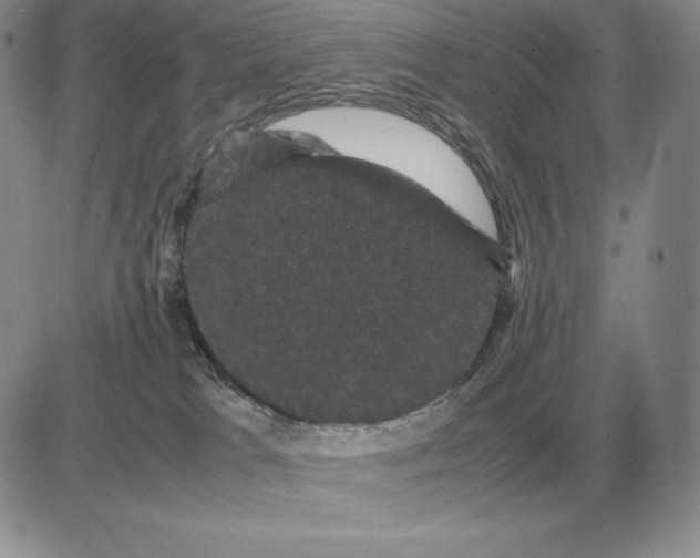 X0000081330037200701251844
