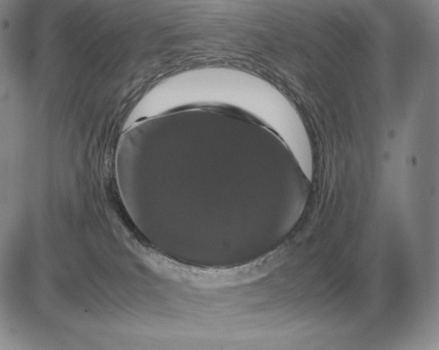 X0000081330039200701251844