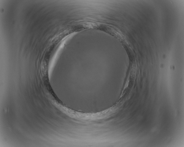 X0000081330043200701251844