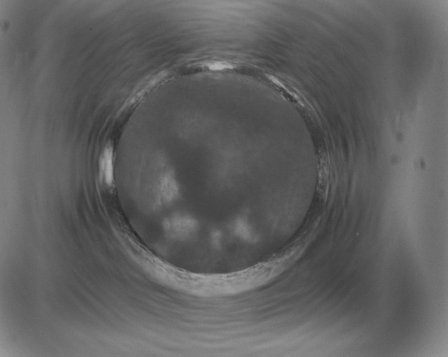 X0000081330046200701251844