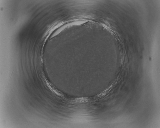 X0000081330050200701251843