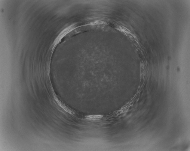 X0000081330051200701251843