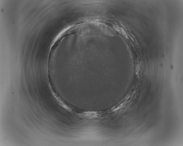 X0000081330052200701251843