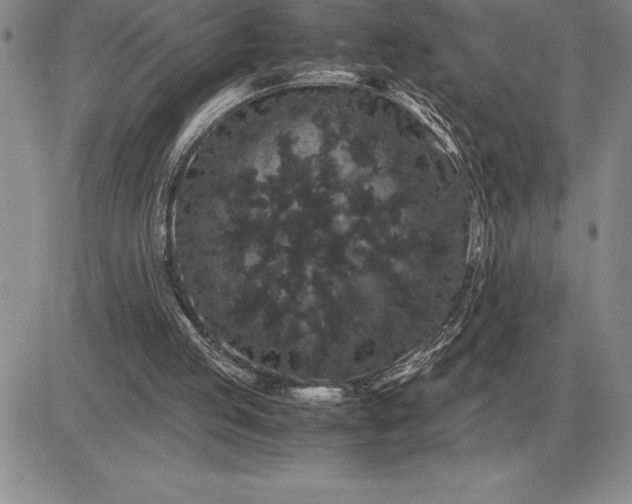 X0000081330053200701251843