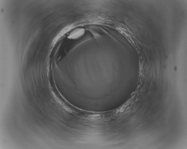 X0000081330054200701251843