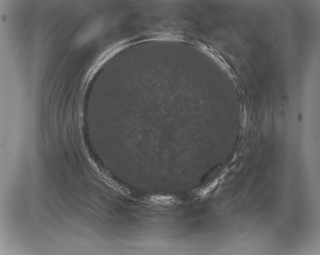 X0000081330055200701251843