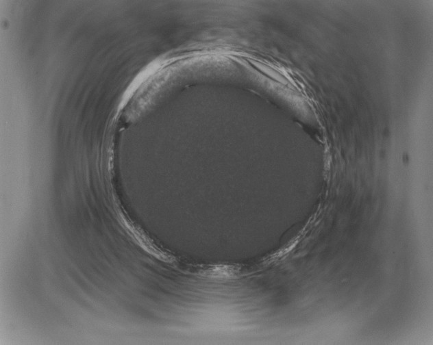X0000081330056200701251843