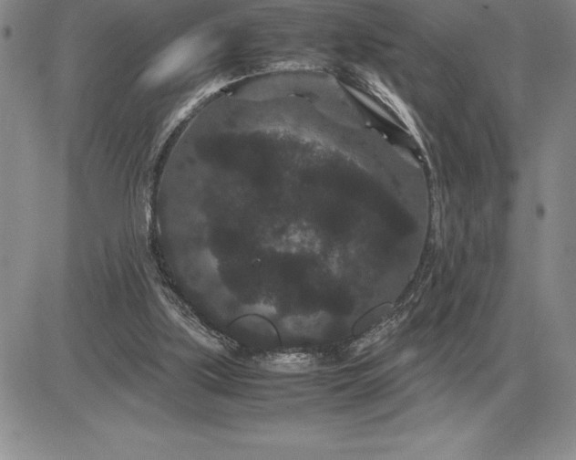 X0000081330059200701251843