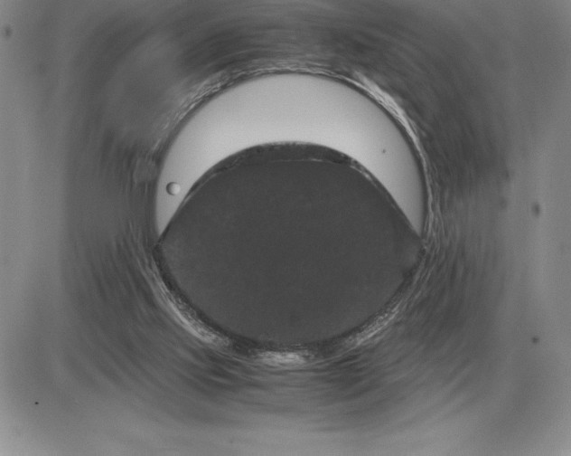 X0000081330061200701251843