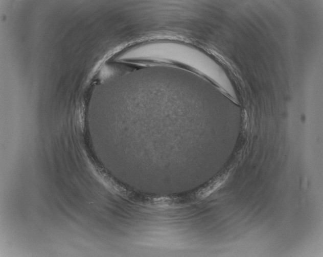 X0000081330064200701251843