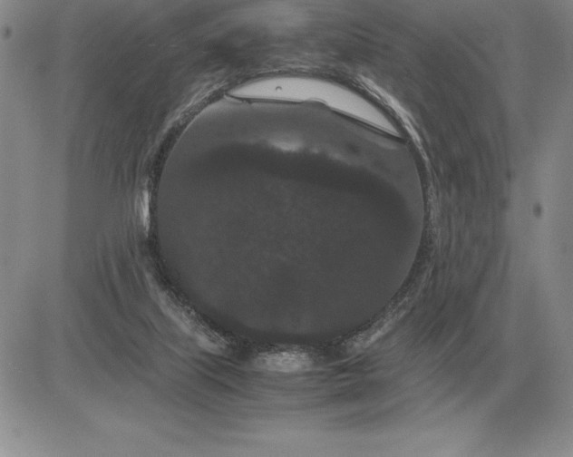 X0000081330067200701251844