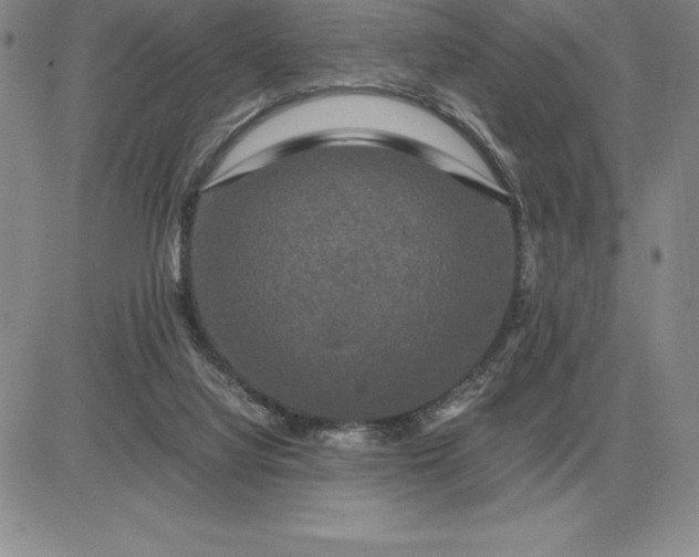 X0000081330068200701251844