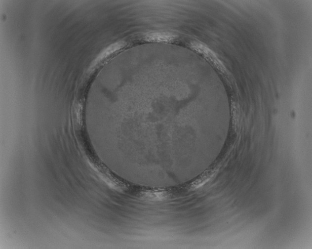 X0000081330071200701251844