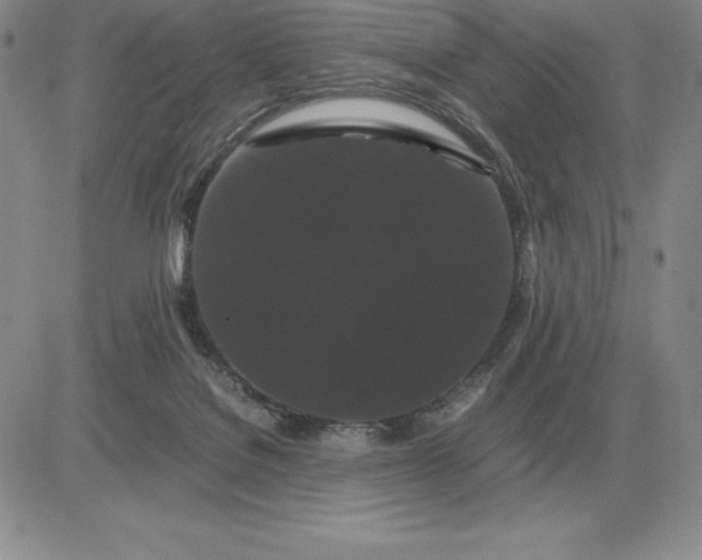 X0000081330076200701251844