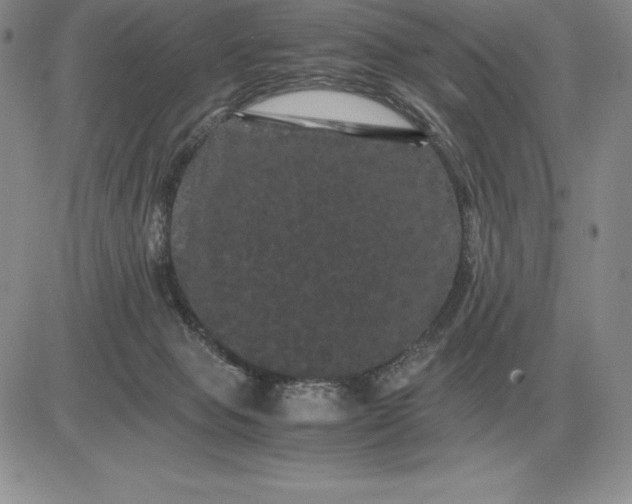X0000081330077200701251844