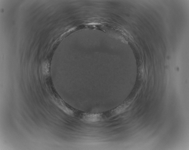 X0000081330081200701251844