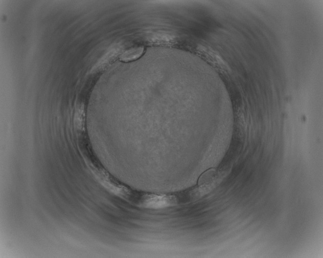 X0000081330083200701251844