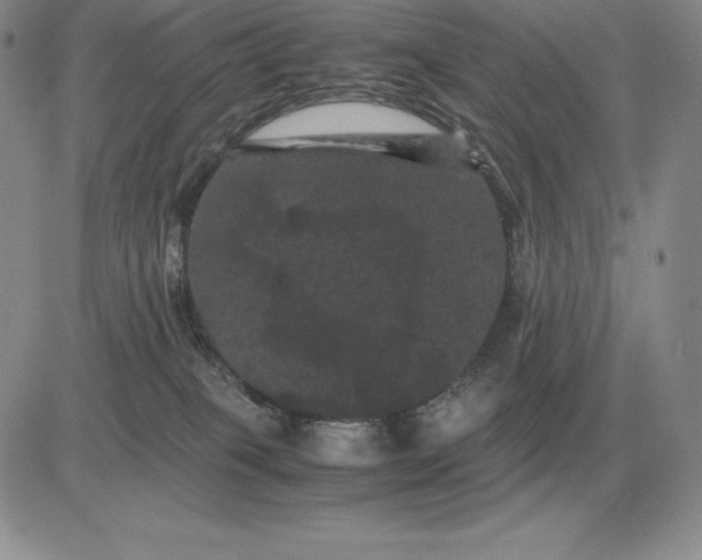 X0000081330085200701251844