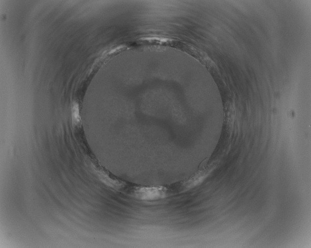 X0000081330089200701251844