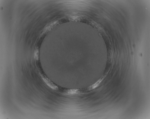 X0000081330090200701251844