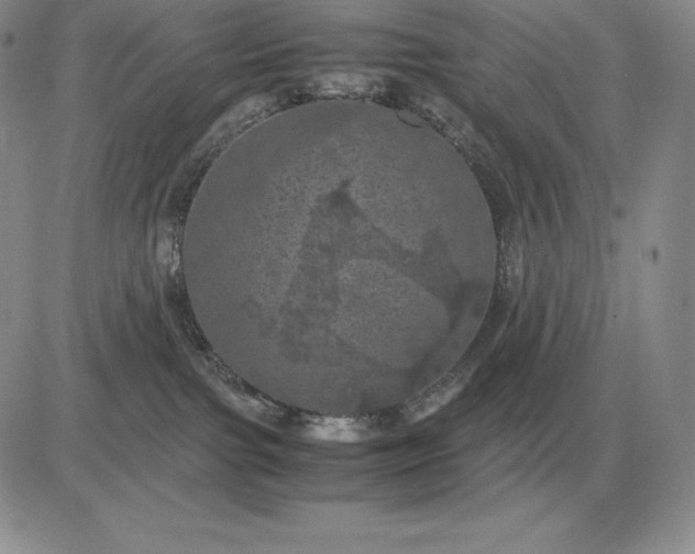 X0000081330091200701251844